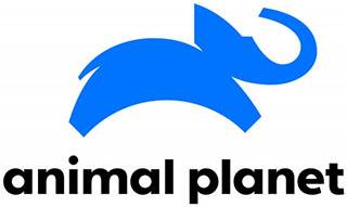 Animal-Planet-slogans