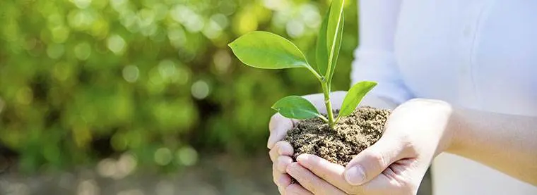 Environmental Slogans Concept