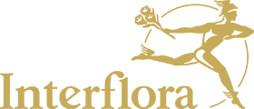 Interflora Slogan